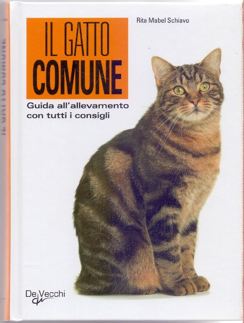 Libreria Biblos di Costa Pierandrea