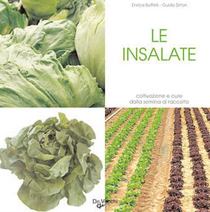 Le insalate. Coltivazione e cure dalla semina al raccolto - Enrica Boffelli,Guido Sirtori - copertina