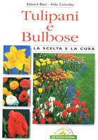 Tulipani e bulbose - Edward Bent,Aldo Colombo - copertina