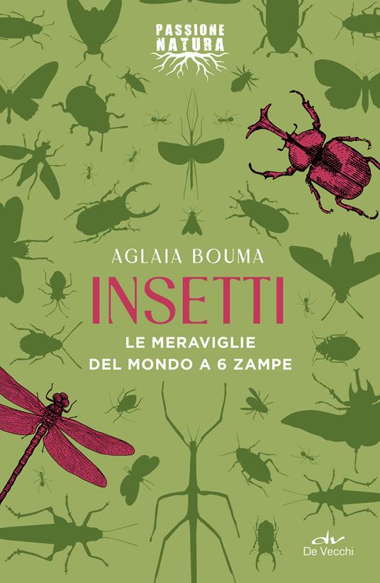 Insetti. Le meraviglie del mondo a 6 zampe - Aglaia Bouma - copertina