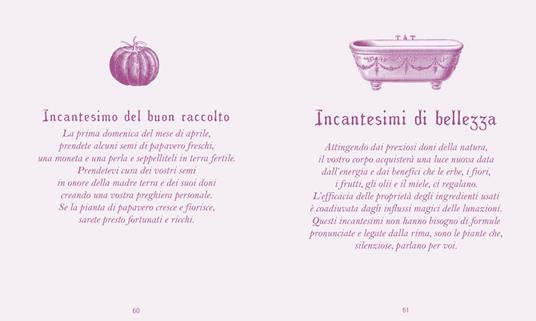 Il grimorio di Madame Ippò. Incantesimi, pozioni, talismani. Con diario segreto - Ippolita Douglas Scotti - 7