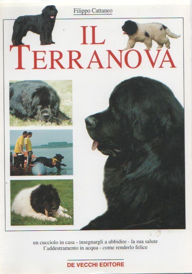 Libreria Biblos di Costa Pierandrea
