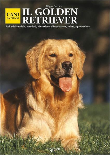 Golden retriever - copertina