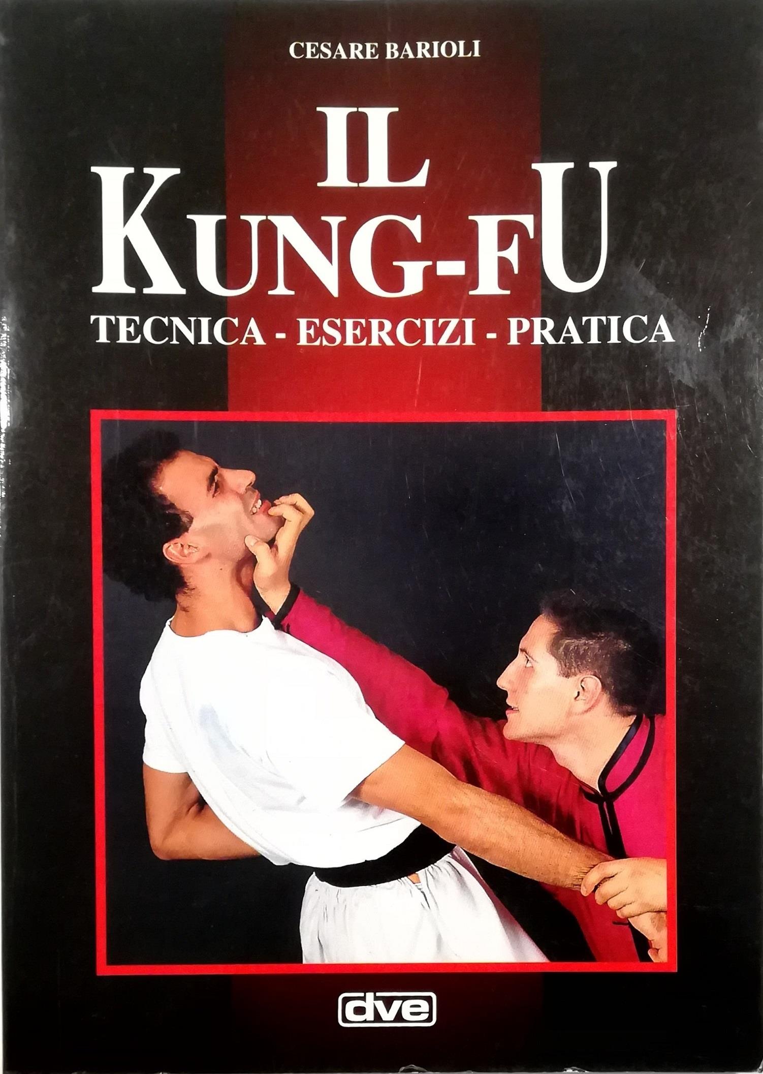 Il kung fu