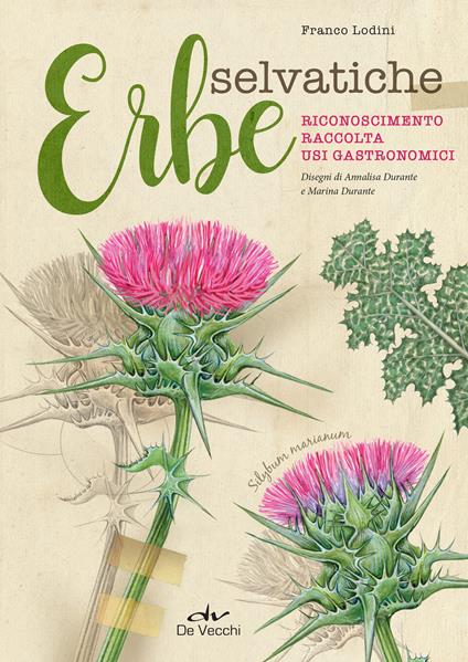 Erbe selvatiche. Riconoscimento. Raccolta. Usi gastronomici - Franco Lodini,Annalisa Durante,Marina Durante - ebook