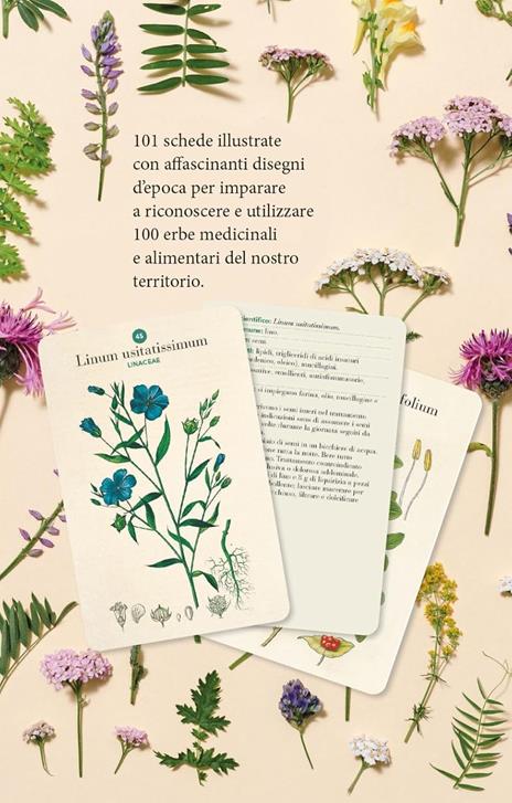 Erbario. 101 schede per riconoscere le principali erbe curative e di uso alimentare. Ediz. a colori - 2