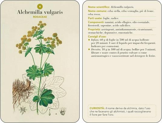 Erbario. 101 schede per riconoscere le principali erbe curative e di uso alimentare. Ediz. a colori - 3