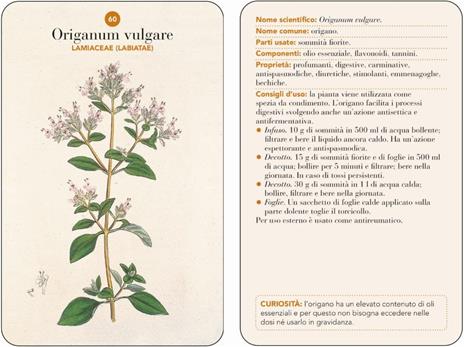 Erbario. 101 schede per riconoscere le principali erbe curative e di uso alimentare. Ediz. a colori - 4