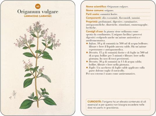 Erbario. 101 schede per riconoscere le principali erbe curative e di uso alimentare. Ediz. a colori - 4