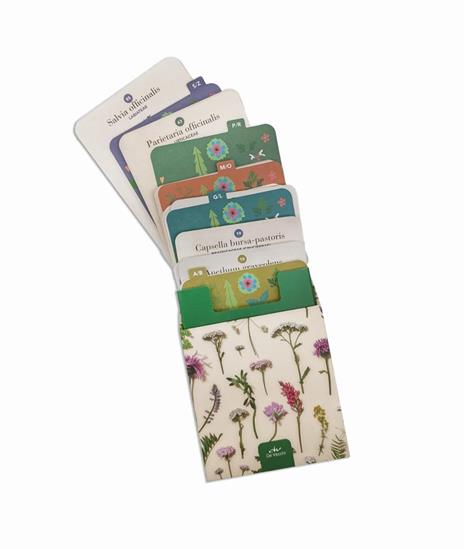 Erbario. 101 schede per riconoscere le principali erbe curative e di uso alimentare. Ediz. a colori - 5