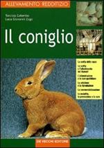 Il coniglio