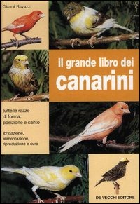 F.E.N. Libreria