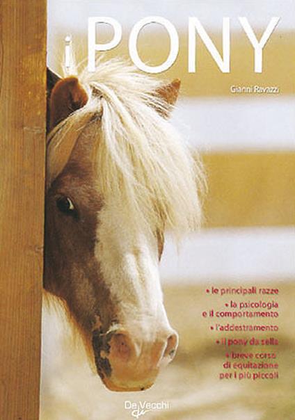 Il pony - Gianni Ravazzi - copertina