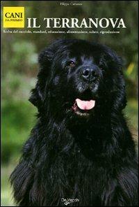 Terranova - copertina