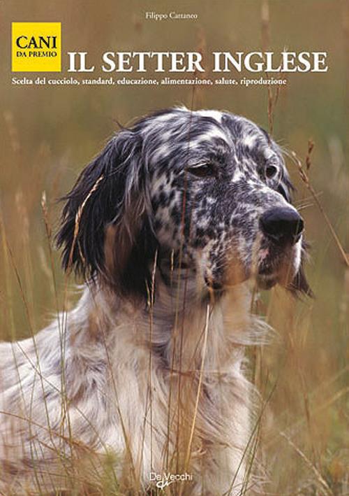 Il setter inglese - copertina