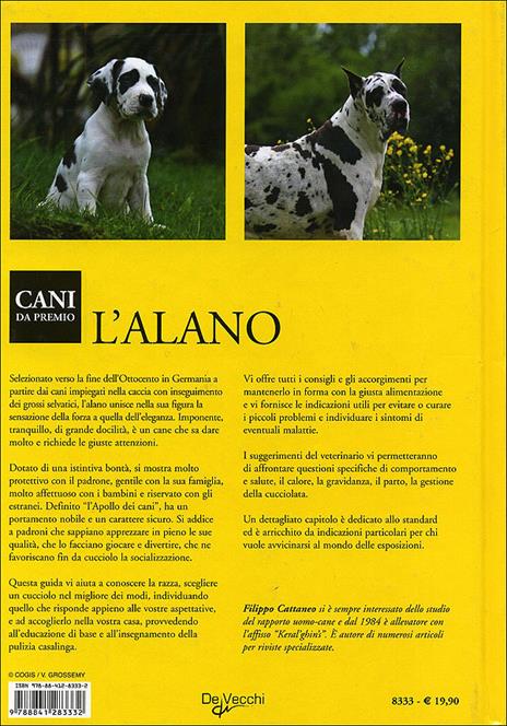 Alano - 7
