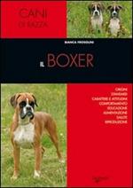 Il boxer