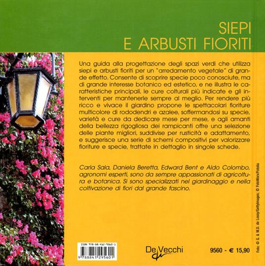 Siepi e arbusti fioriti - 2
