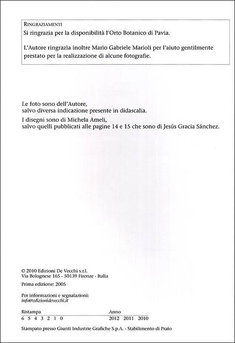 Piante grasse senza problemi - Alberto Massa Saluzzo - 3