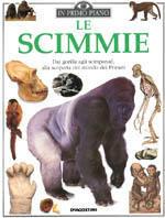 Le scimmie - copertina
