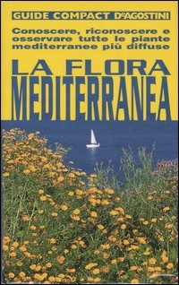 Piazza del Libro