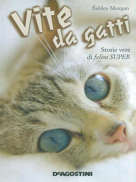 Vite da gatti. Storie vere di felini super - Ashley Morgan - 6