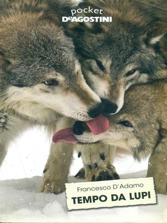 Tempo da lupi - Francesco D'Adamo - copertina