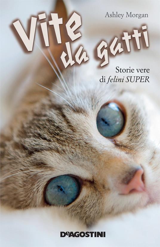 Vite da gatti. Storie vere di felini super - Ashley Morgan,C. Lionetti - ebook