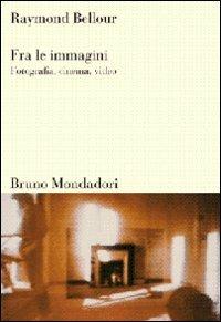 Fra le immagini. Fotografia, cinema, video. Ediz. illustrata - Raymond Bellour - copertina