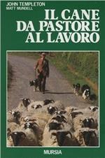 Il cane da pastore al lavoro. Cura e addestramento