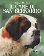 Il cane san Bernardo