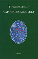 Capo Horn alla vela. 14000 miglia senza scalo