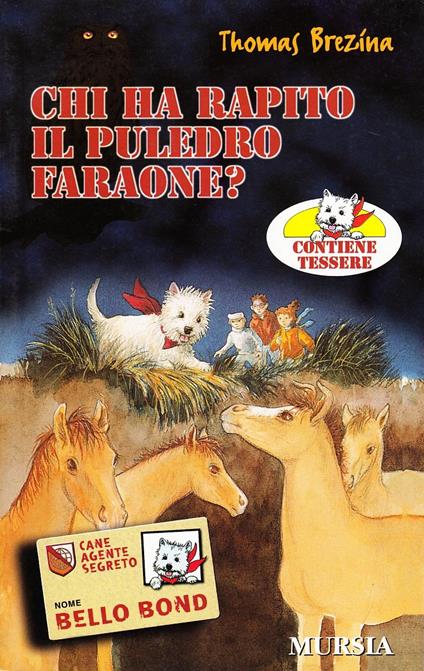Chi ha rapito il puledro Faraone? - Thomas Brezina - copertina