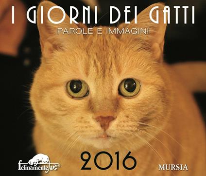 I giorni dei gatti 2016. Calendario da tavolo - copertina