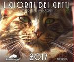I giorni dei gatti. Calendario 2017
