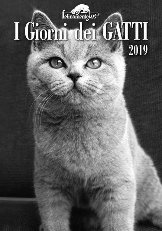 I giorni dei gatti. Agenda 2019 - copertina