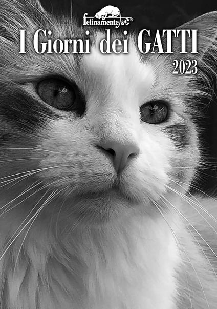 I giorni dei gatti. Agenda 2023 - copertina