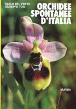 Orchidee spontanee d'Italia