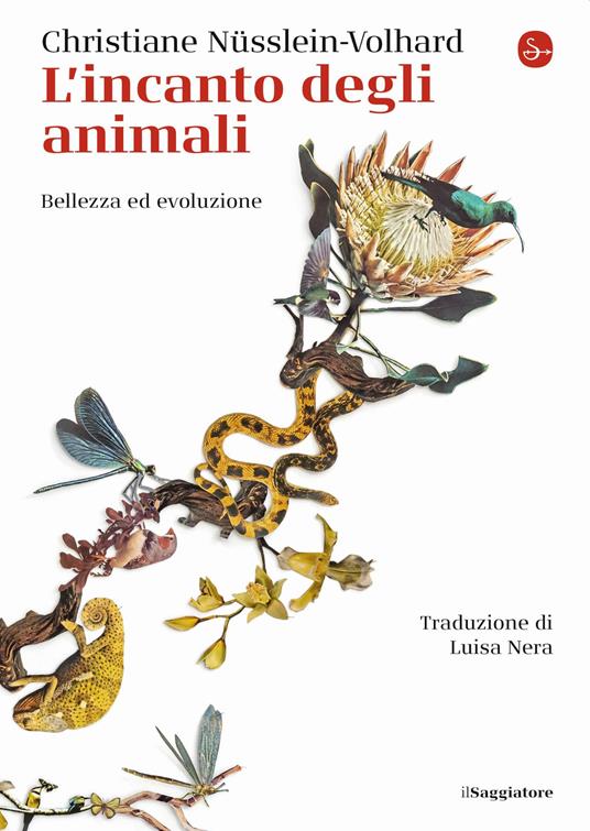 L' incanto degli animali. Bellezza ed evoluzione - Christiane Nüsslein Volhard - copertina