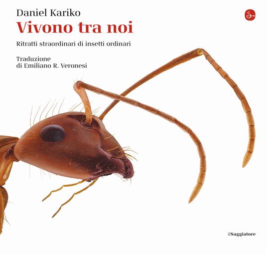 Vivono tra noi. Ritratti straordinari di insetti ordinari. Ediz. a colori - Daniel Kariko - copertina