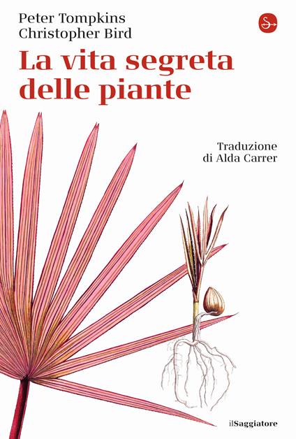 La vita segreta delle piante - Peter Tompkins,Christopher Bird - copertina