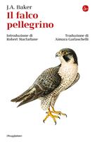 Nome prodotto