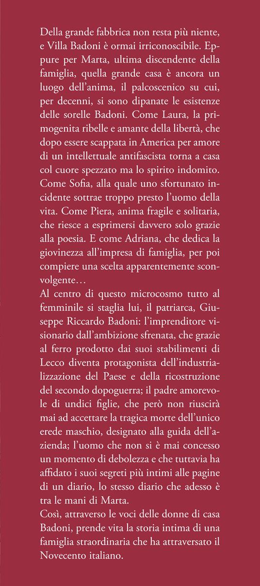 Una casa di ferro e di vento - Lorenzo Bonini,Paolo Valsecchi - 2