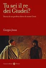 Tu sei il re dei Giudei? Storia di un profeta ebreo di nome Gesù