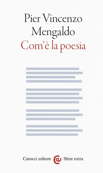 Com'è la poesia - Pier Vincenzo Mengaldo - copertina