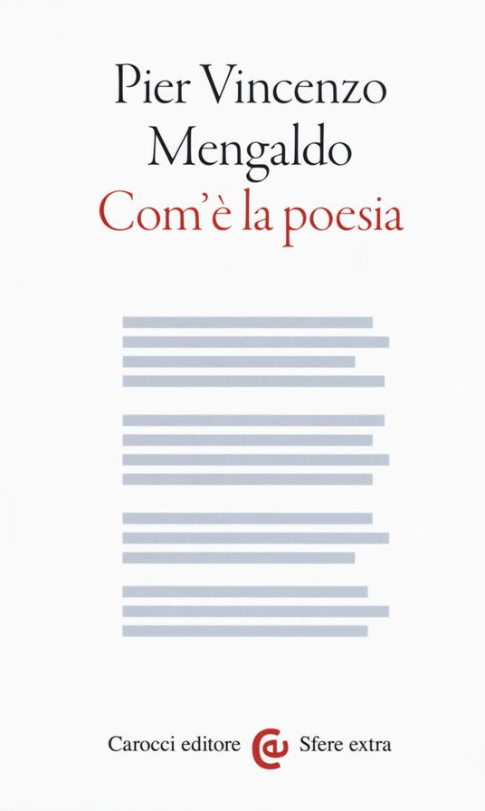 Com'è la poesia - Pier Vincenzo Mengaldo - copertina