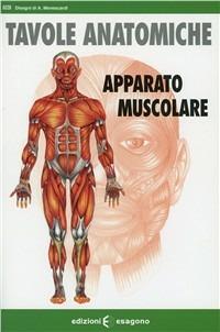 Apparato muscolare. Tavole anatomiche - Aurelia Menescardi - copertina