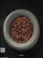 Golba. Il giardino delle rose. Catalogo della mostra. Ediz. italiana e inglese