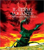 Il cervo volante. L'avventura del collezionista. Catalogo della mostra (Milano, 3 novembre-31 dicembre 1998) - copertina