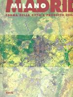 Milano - Madrid. Forma della città e progetto urbano. Atti del Convegno. Ediz. illustrata